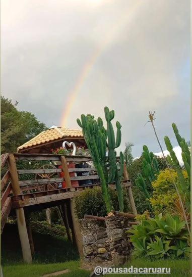 Caruaru